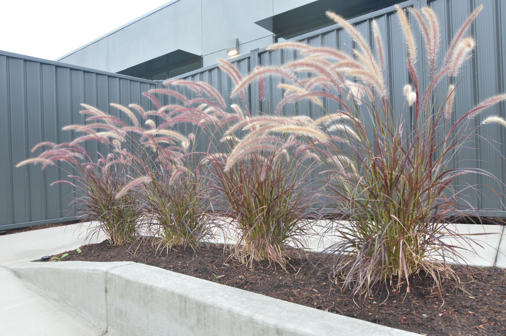 Colorbond Fencing Installation